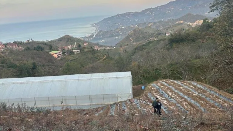Giresun İl Tarım ve Orman Müdürlüğü, DOKAP destekli "Maviyemis ve