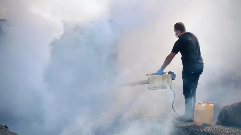 Giresun Belediyesi, yaz aylarında artan sivrisinek ve haşere sorunlarına karşı