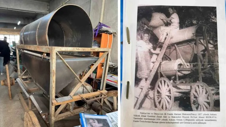 Ankara Üniversitesi tarafından 1940'ta geliştirilen ve Giresun Fındık Araştırma Enstitüsü'ne