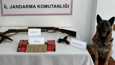 Artvin'in Borçka ilçesinde jandarma ekiplerince düzenlenen silah kaçakçılığı operasyonunda 1