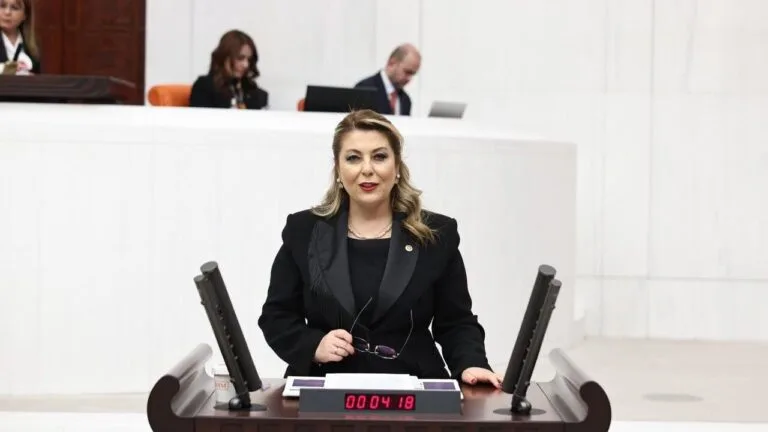 CHP Giresun Milletvekili Elvan Işık Gezmiş, Ordu-Giresun Havalimanı'ndaki uçuşların yetersizliğini