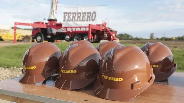 Rekabet Kurulu, Ferrero'nun Türkiye fındık piyasasındaki 2025 yılı alım taahhüdünü