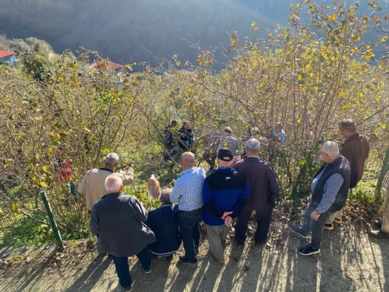 Giresun'da fındık üretiminde sürdürülebilirlik ve kaliteyi artırmak amacıyla Keşap ilçesinde