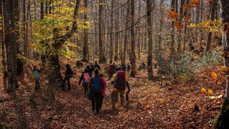Giresun Doğa Sporları Kulübü (GİDOSK), Uluvahta Yaylası'ndan Ulugöl'e düzenlediği doğa