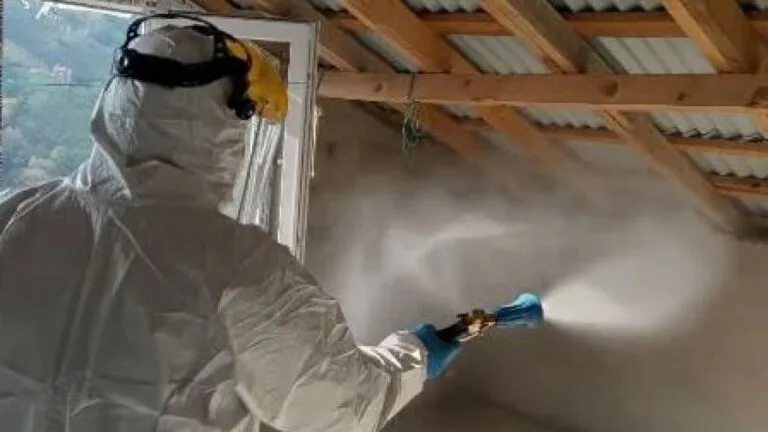 Giresun'da tarım ürünlerine büyük tehdit oluşturan kahverengi kokarca zararlısına karşı