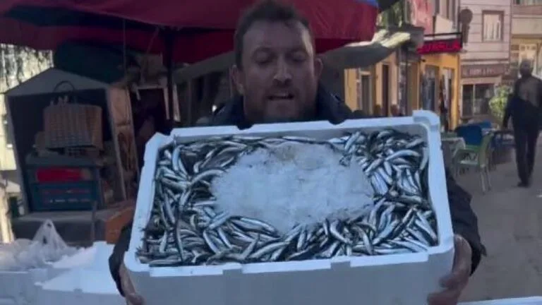 Karadeniz'de av sezonunun ardından bollaşan hamsi, tezgahlardaki fiyatıyla vatandaşın yüzünü