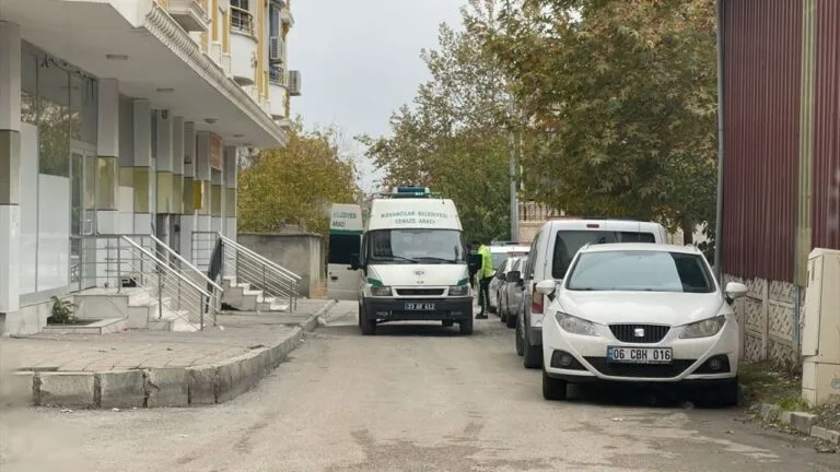 25 Kasım’da Acı Bilanço: Kadına Yönelik Şiddet İki Can Aldı 25 Kasım Kadına Yönelik Şiddetle Mücadele Günü'nde Türkiye'de iki kadın,