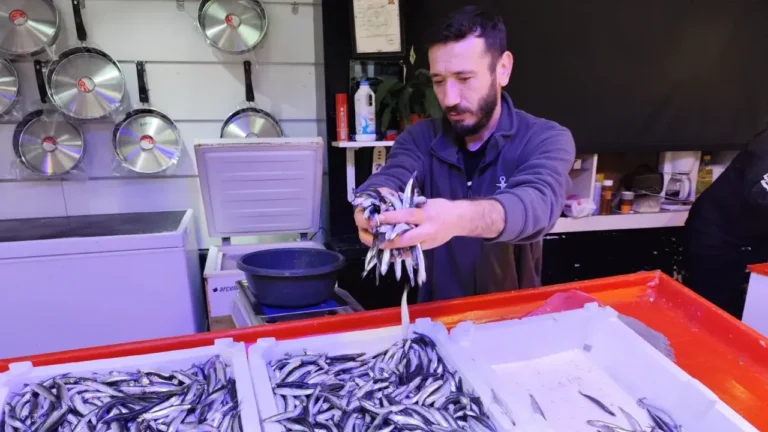 Karadeniz'de mevsim normallerinin üzerindeki deniz suyu sıcaklıkları, hamsinin göçünü hızlandırdı.