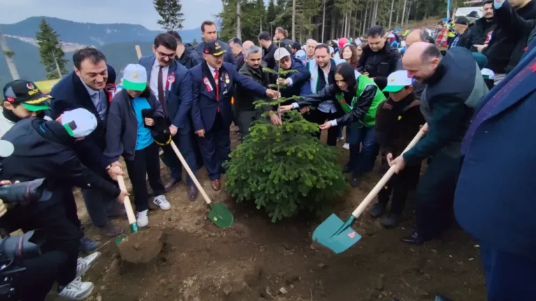 Giresun'un 1700 rakımlı Kulakkaya Yaylası'nda düzenlenen fidan dikim etkinliğiyle boş