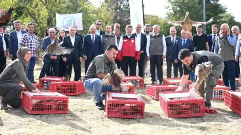 Doğa Koruma ve Milli Parklar (DKMP) Genel Müdürlüğü, kene ve