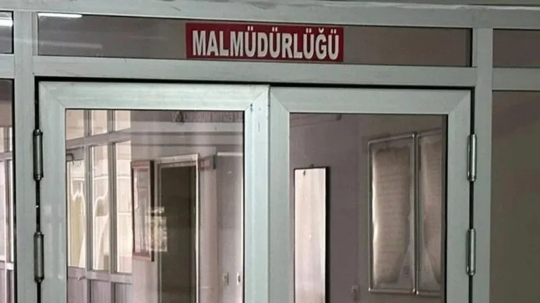Giresun’da Mal Müdürlükleri Kapatılıyor: Alucra ve Çamoluk İlk Adım Giresun'un Alucra ve Çamoluk ilçelerindeki mal müdürlükleri, Hazine ve Maliye