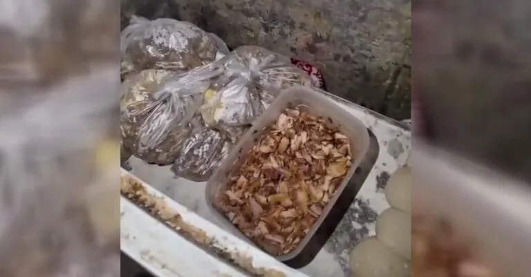 Zonguldak'ın Devrek ilçesinde yapılan denetimlerde, bir pide imalathanesinde bozuk et,