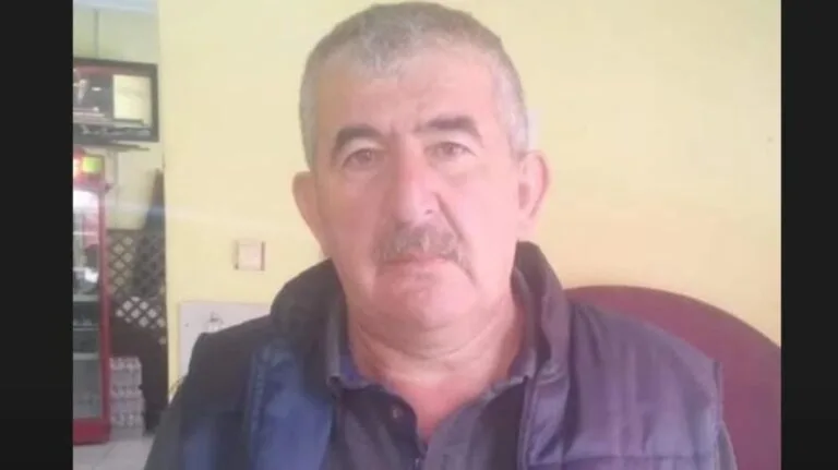 Karabük'ün Eflani ilçesinde mantar toplamak için ormanlık alana giden 62