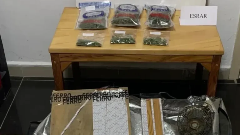 Samsun'un Havza ilçesinde bir bağ evine düzenlenen operasyonda, özel iklimlendirme