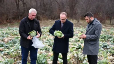 Alucra Kaymakamı Azman, bölgenin önemli tarım ürünü Alucra kelem pancarı