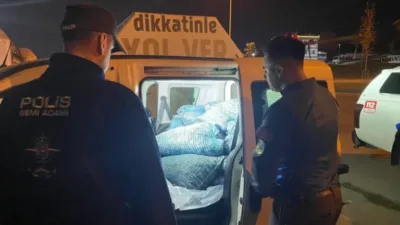 Samsun'da düzenlenen operasyonda, yasa dışı yollarla avlandığı belirlenen 300 kilogram