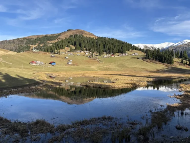 Giresun'un Yağlıdere ilçesindeki 1530 rakımlı Gölyanı Yaylası, 'kesin korunacak hassas