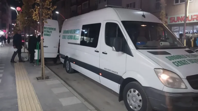 Çorum'un Sungurlu ilçesinde yalnız yaşayan 80 yaşındaki Hafize Zeybek, evinde