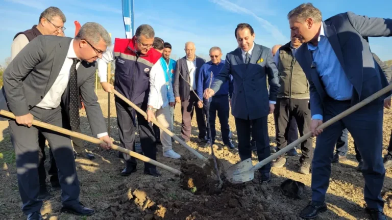 Samsun'un Tekkeköy ilçesinde başlatılan sosyal sorumluluk projesi kapsamında 100 dekarlık