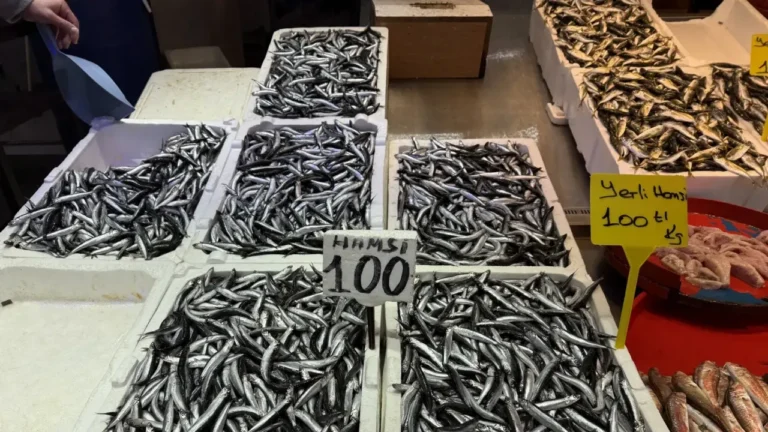 Trabzon balık tezgahlarında hamsinin kilogram fiyatı, havaların soğuması ve balığın