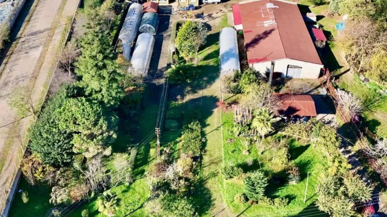 Giresun Belediyesi, çocukları doğa ve tarımla tanıştırmak amacıyla park ve