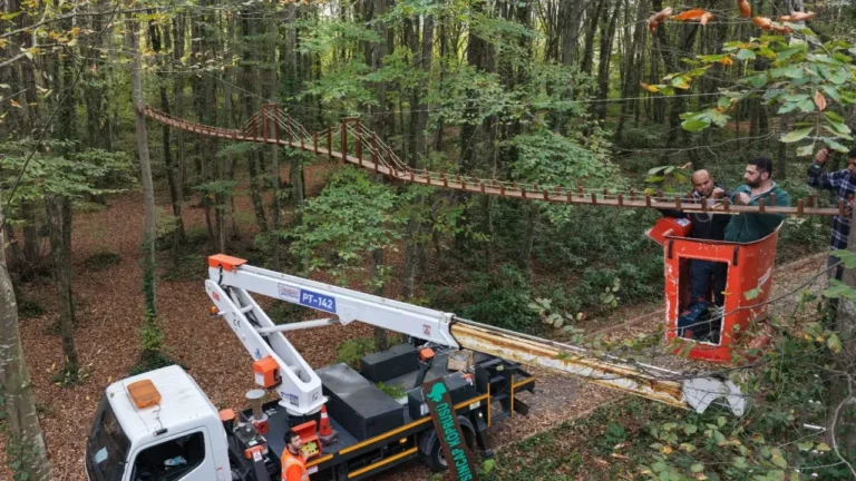Samsun'un Terme ilçesindeki Hüseyin Tekin Kent Ormanı'nda sincapların güvenli geçişini