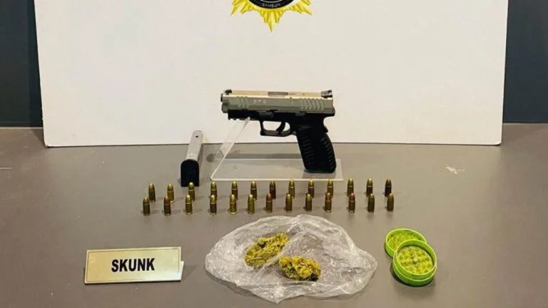 Samsun'da Narkotik Suçlarla Mücadele ekiplerince düzenlenen eş zamanlı operasyonlarda 5