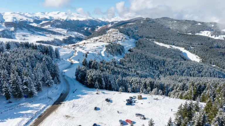 Giresun'un Kümbet Yaylası’nda yeşille beyaz içiçe
