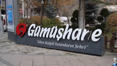 Türkiye İstatistik Kurumu (TÜİK) verilerine göre Gümüşhane, 80.8 yıllık ortalama