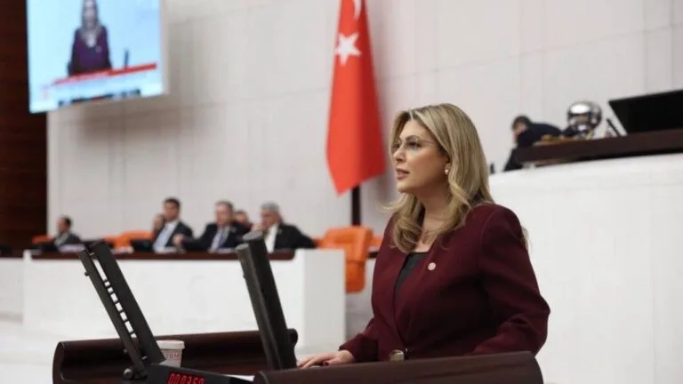 CHP Giresun Milletvekili Elvan Işık Gezmiş, Meclis’te fındık üreticisinin yaşadığı