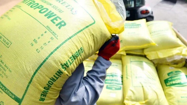 Türkiye Ziraat Odaları Birliği (TZOB) verilerine göre, tarımsal üretimde kritik