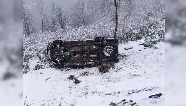Ordu'nun Gölköy ilçesinde meydana gelen trafik kazasında bir kamyonet şarampole