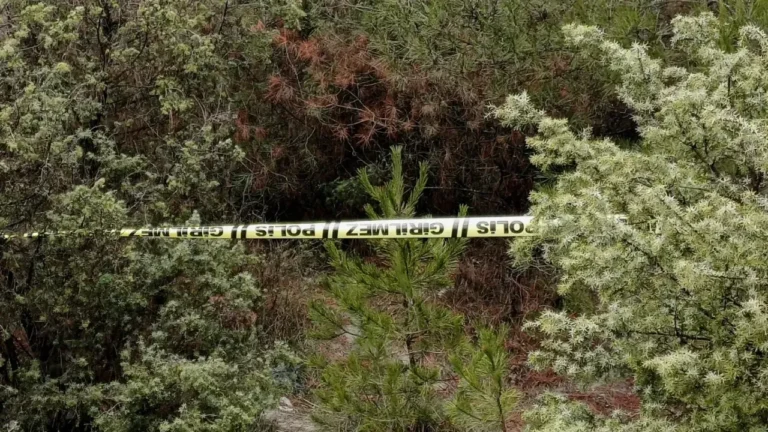 Karabük’te Kayıp Abizer Y. Ormanlık Alanda Ölü Bulundu Karabük'te dün hastaneye gitmek üzere otelden ayrıldıktan sonra kendisinden haber