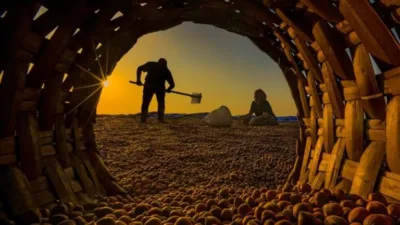 Giresun'da fındık üreticileri ve manavlar, düşen fiyatların ardından yeni yılda