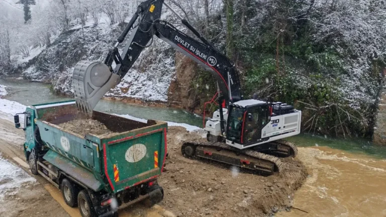 Giresun’da yeşil karıncalar kar kış dinlemiyor!