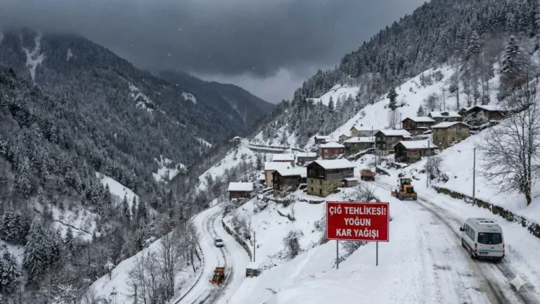 Giresun'un Doğankent ilçesinde karla mücadele çalışması yürüten belediyeye ait iş