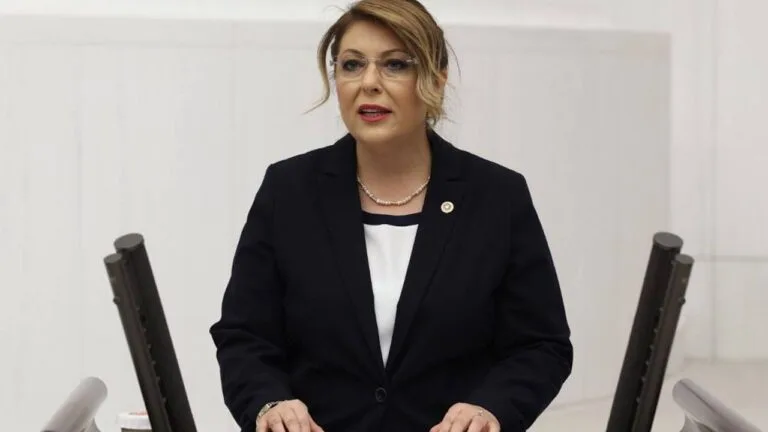 CHP Giresun Milletvekili Elvan Işık Gezmiş, Türkiye'de artan kadın cinayetleri