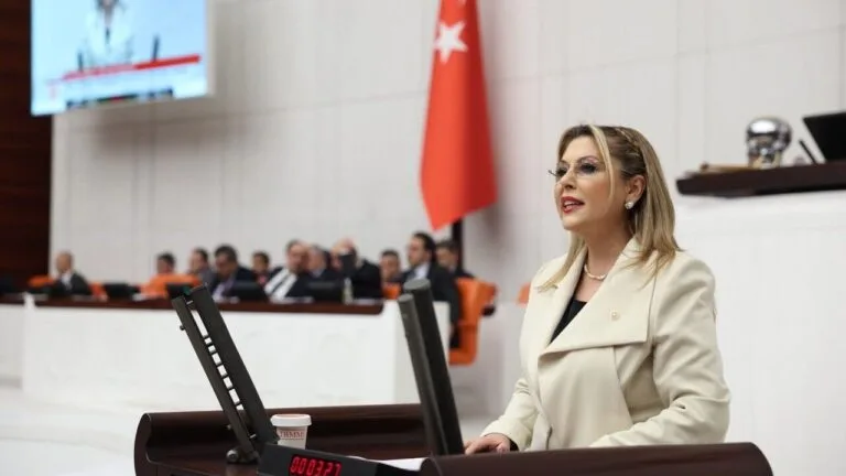 Cumhuriyet Halk Partisi (CHP) Giresun Milletvekili Elvan Işık Gezmiş, yatırım