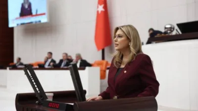 CHP Giresun Milletvekili Elvan Işık Gezmiş, Türkiye’de tırmanan kadın cinayetlerine