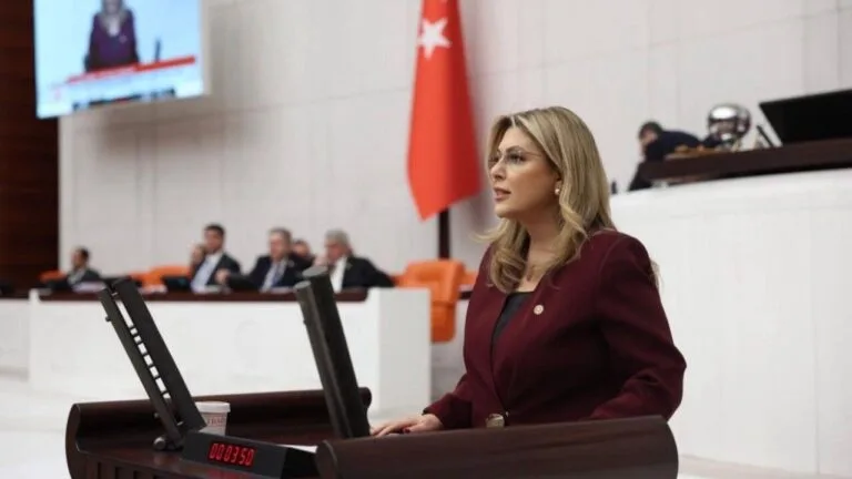 CHP Giresun Milletvekili Elvan Işık Gezmiş, Türkiye’de tırmanan kadın cinayetlerine