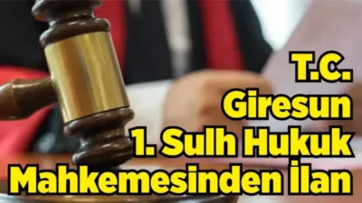Örnek No:55*TAŞINMAZIN GAZETE VEYA İNTERNET HABER SİTESİ İLANIAşağıda cins, miktar