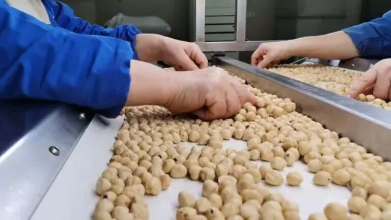 Türkiye fındık ihracatı, 2025/26 sezonunun ilk yedi ayında 111 bin