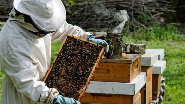 Tarım ve Orman Bakanlığından üreticilere destek