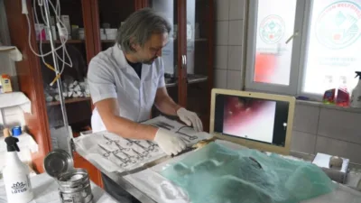 Giresun Belediyesi, sokak hayvanlarının tedavi standartlarını artıracak önemli bir yatırıma