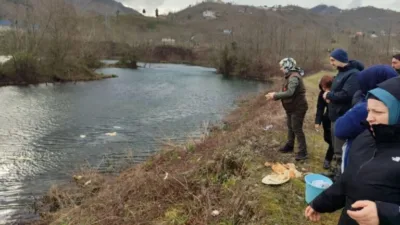 Giresun'da sulak alanlardaki kuşlar beslendi