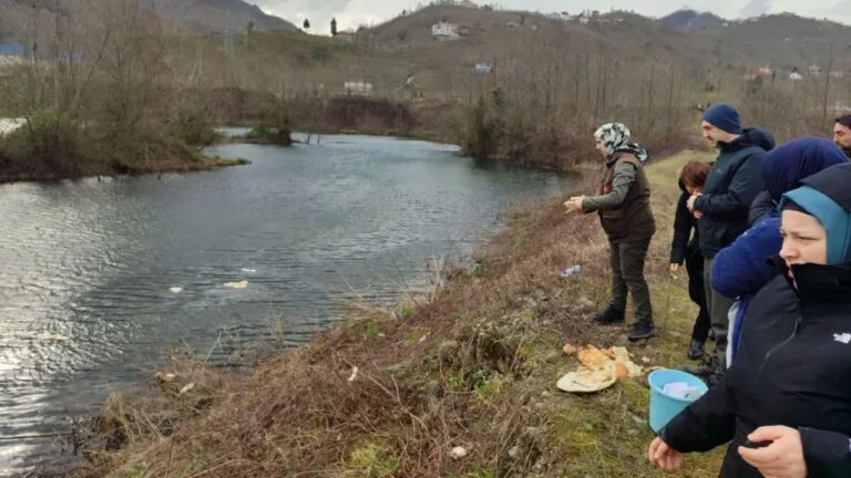 Giresun'da sulak alanlardaki kuşlar beslendi