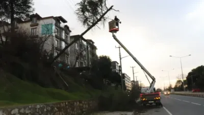 Ordu'nun Ünye ilçesinde etkili olan şiddetli rüzgar nedeniyle devrilen bir