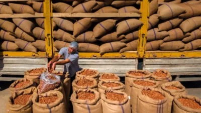 Türkiye'nin fındık ihracatı, 2026 Ocak ayında hem miktar hem de