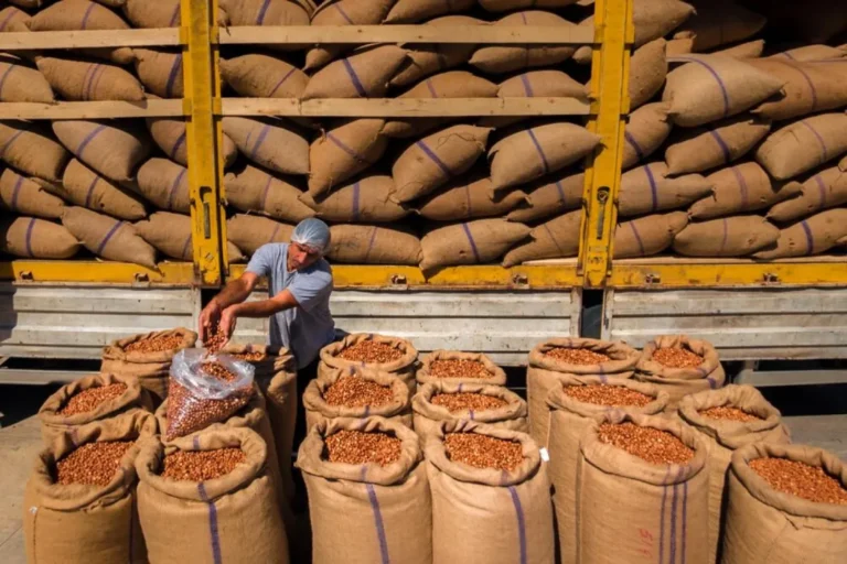 Türkiye'nin fındık ihracatı, 2026 Ocak ayında hem miktar hem de