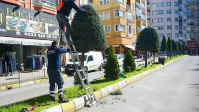Giresun’da belediye ekipleri şehri güzelleştiriyor